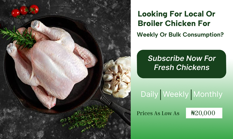 Chicken meat subscription plan from Grabb Livestock – buy chicken in Nigeria daily, weekly, or monthly starting from ₦20,000.