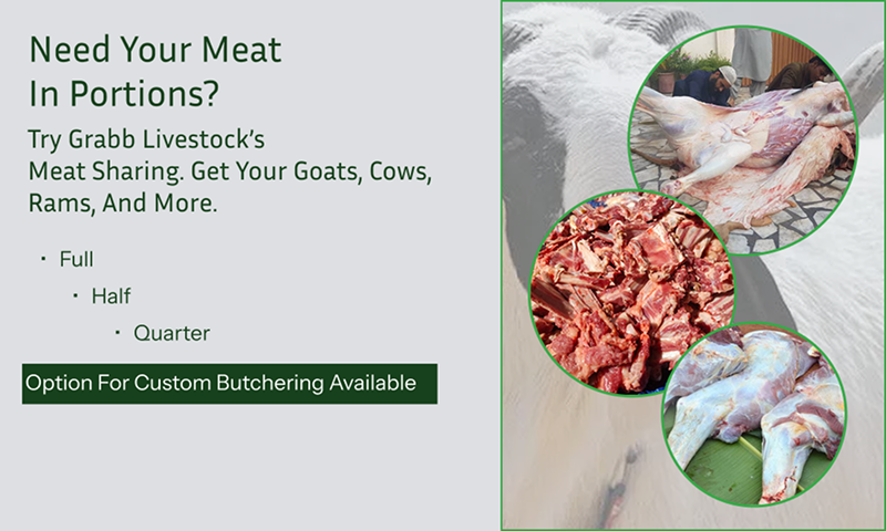 Grabb Livestock meat sharing plan in Nigeria – order full, half, quarter, or custom meat portions online.