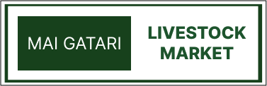 Markets 13