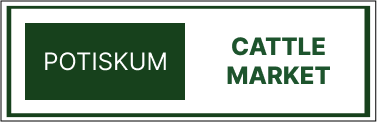 Markets 15
