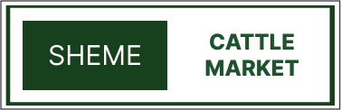 Markets 16
