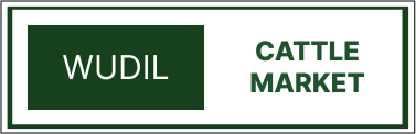 Markets 17
