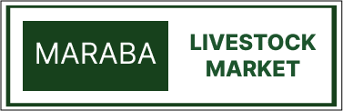 Markets 6
