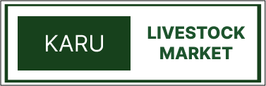 Markets 8
