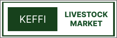 Markets 9